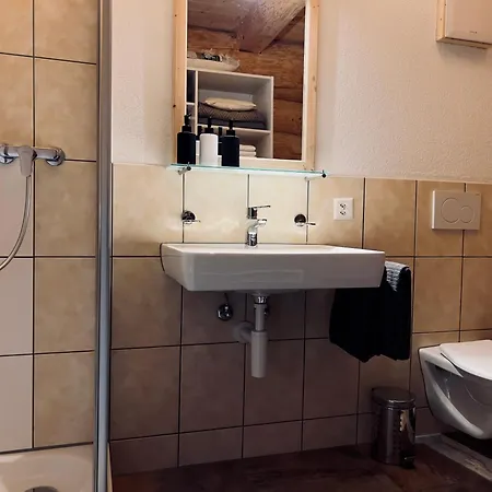 Standard 3 - Private Bathroom - Heiti 2* Gsteig